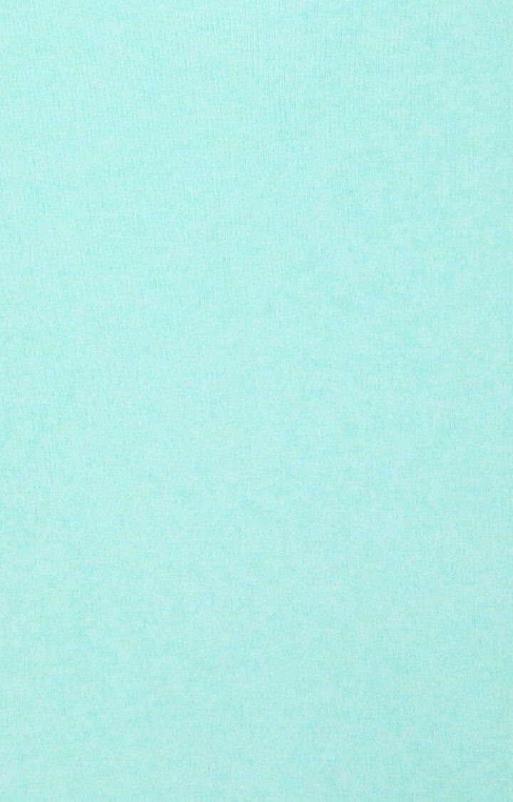 trui | DAM225H - lagon chine