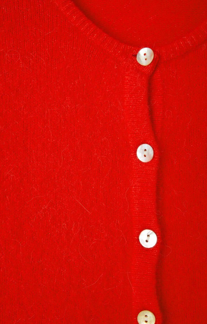 vest | VITO19EE - carmin chine